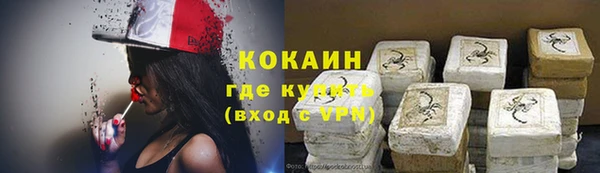шишки Армянск